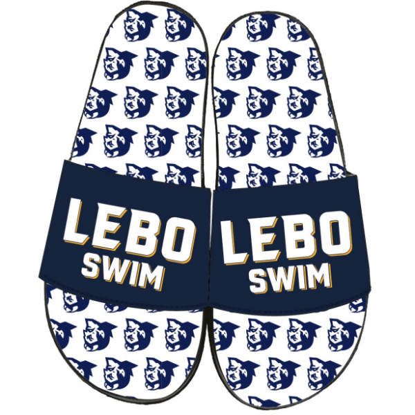 MLAC SLIDES