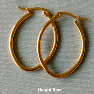 Hoop Earrings