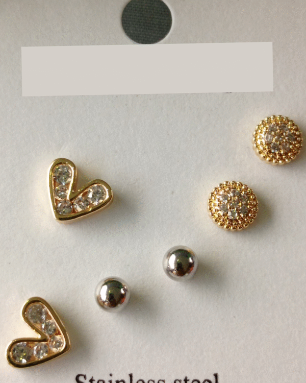 Everyday Elegance Stainless Studs - Image 2