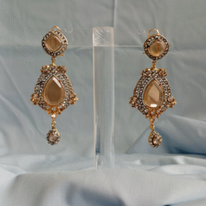 Stunning Jhumky Earrings